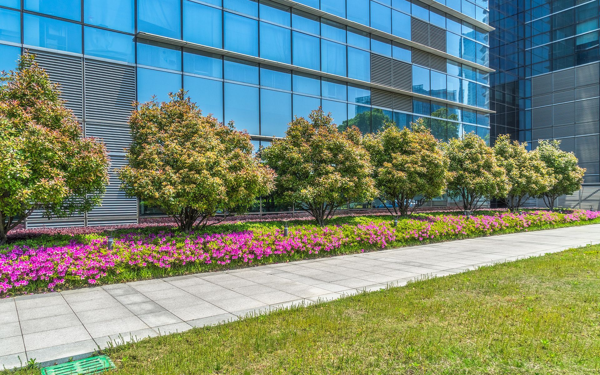 A row of trees and flowers in front of a building.