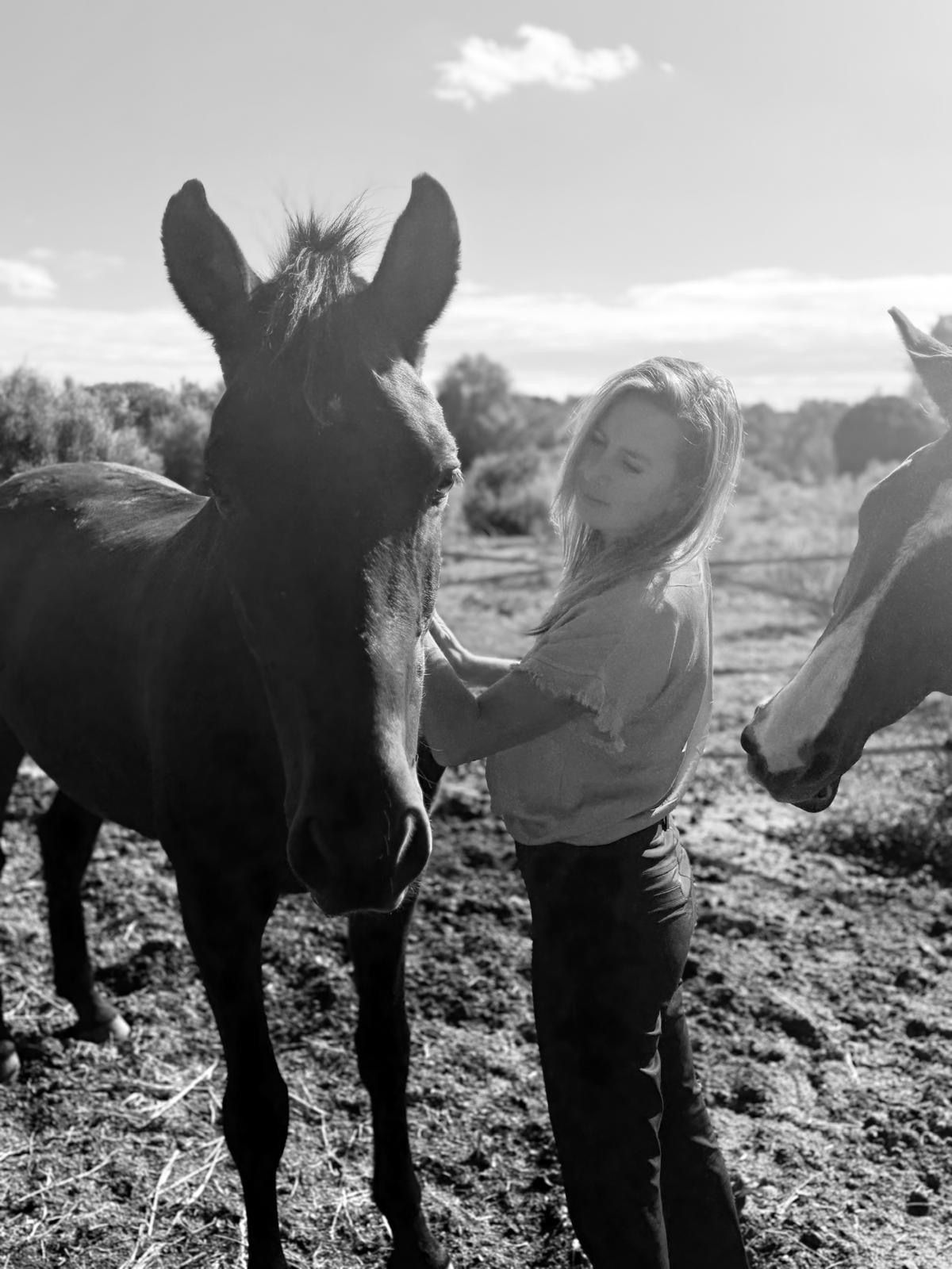 Coaching con caballos en Mallorca