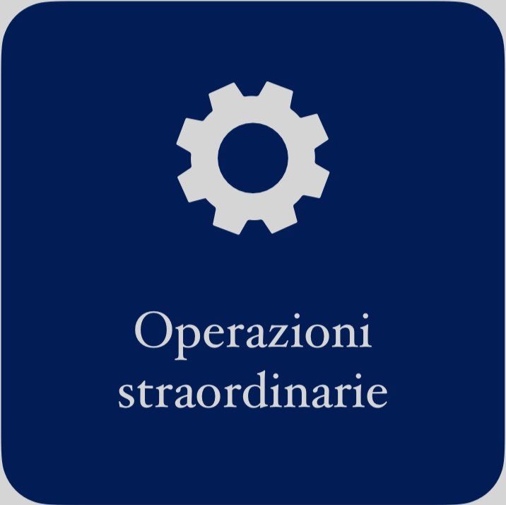 Consulenza aziendale e societaria