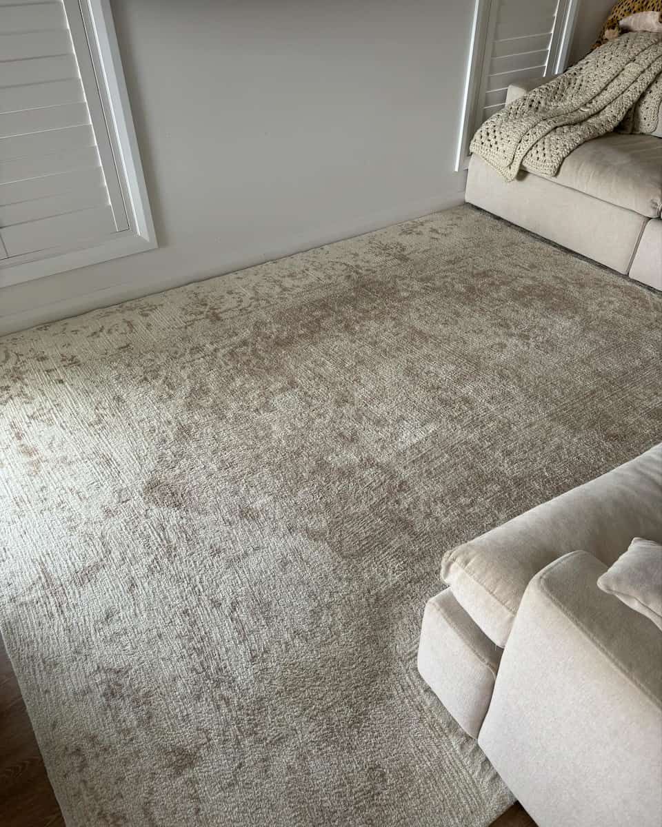 A Beige Patterned Area Rug Sits on a Light Floor in a Living Room — Cobra's Carpet Cleaning in Junee, NSW