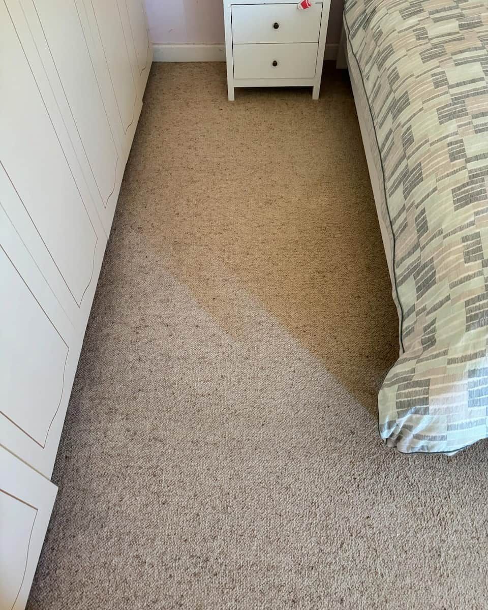 A Beige Carpeted Bedroom Floor Between a White Wardrobe and a Bed — Cobra's Carpet Cleaning in Junee, NSW