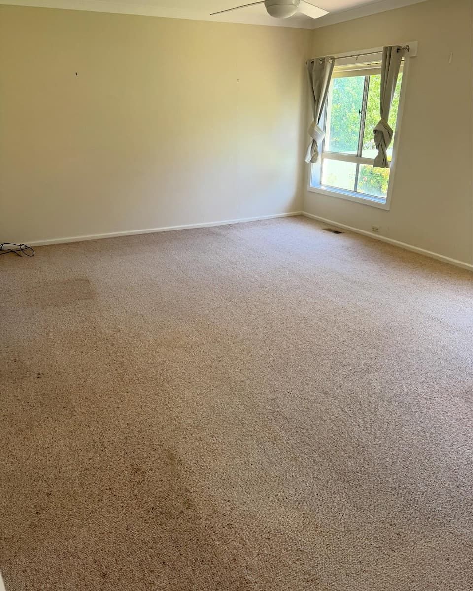 An Empty Room With Tan Carpet and Plain Beige Walls — Cobra's Carpet Cleaning in Temora, NSW