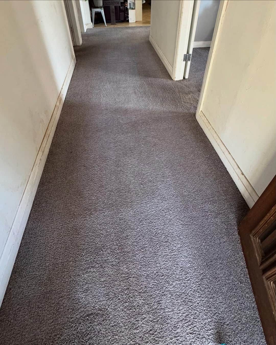 A Straight Hallway With Light Beige Walls and a Grey Speckled Carpet Floor — Cobra's Carpet Cleaning in Cootamundra, NSW