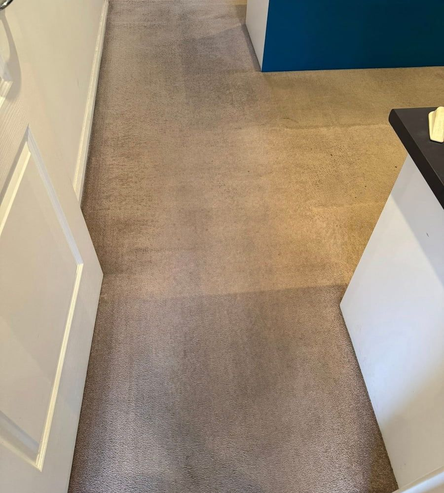 A Top-down View of a Carpeted Hallway Showing a Clean, Lighter-coloured Section — Cobra's Carpet Cleaning in Junee, NSW