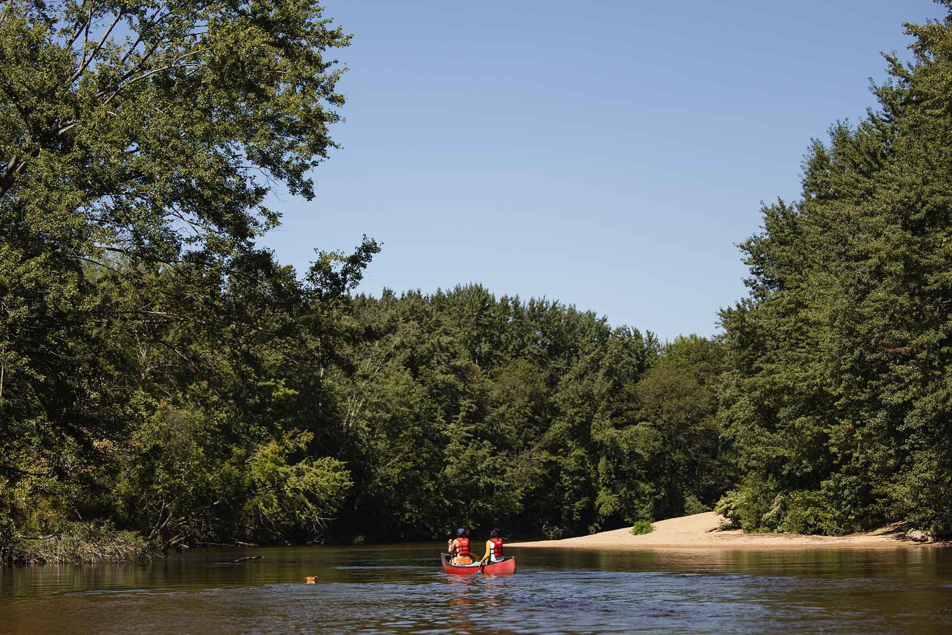 A person in a red kayak is paddling down a river surrounded by trees.