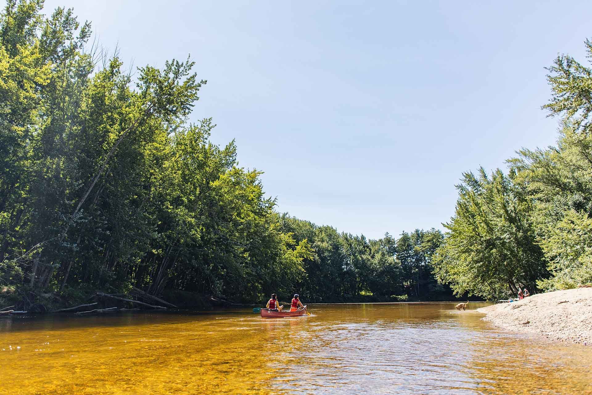 Two People Rowing Canoe Down a River Surrounded by Trees