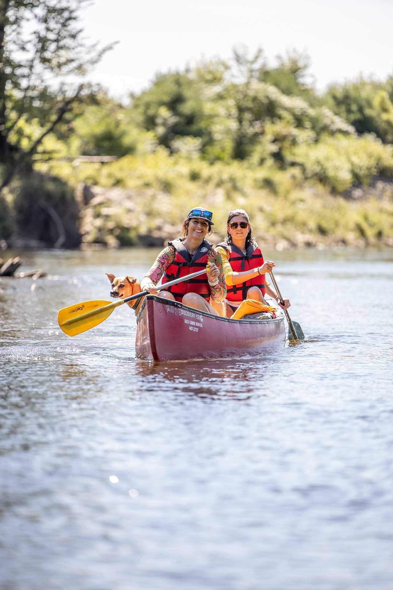 Two People and A Dog Paddling a Canoe Down a River.