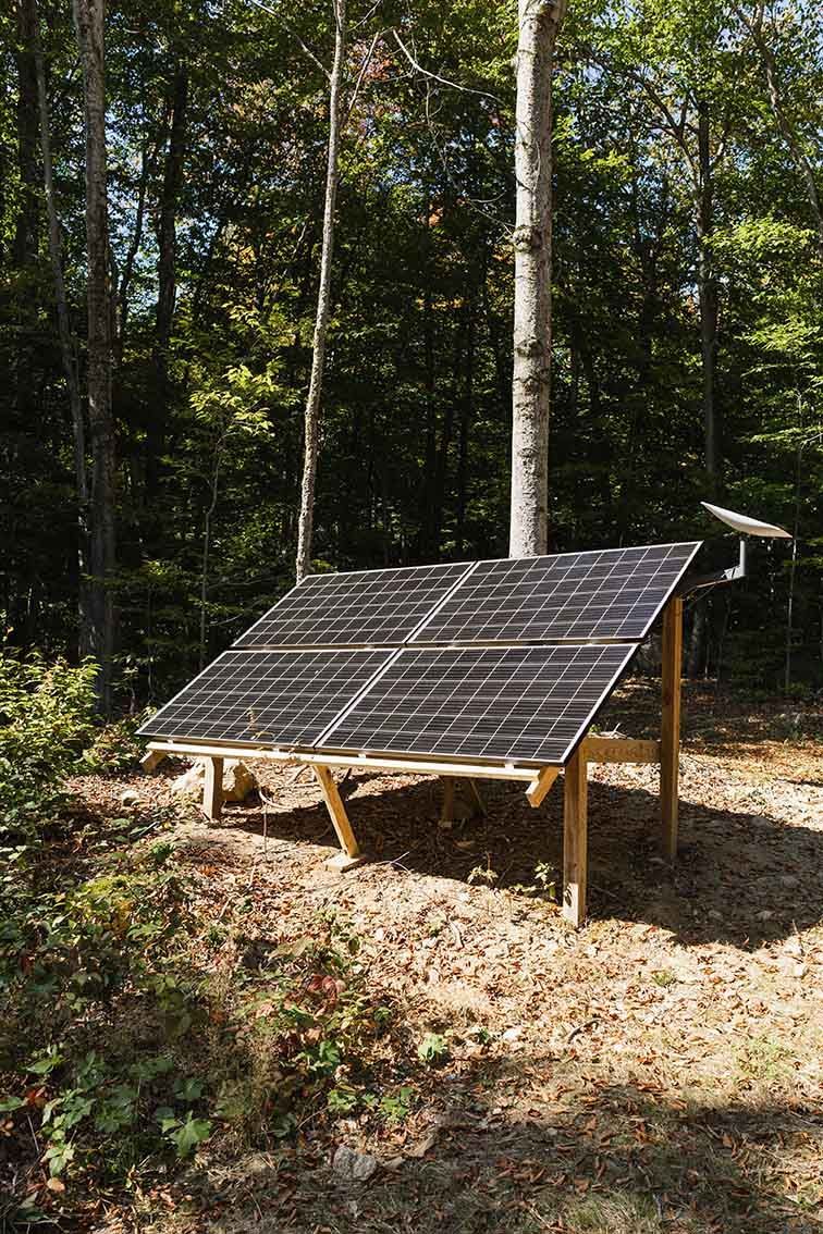 A Solar Panel Is Sitting in The Middle of A Forest