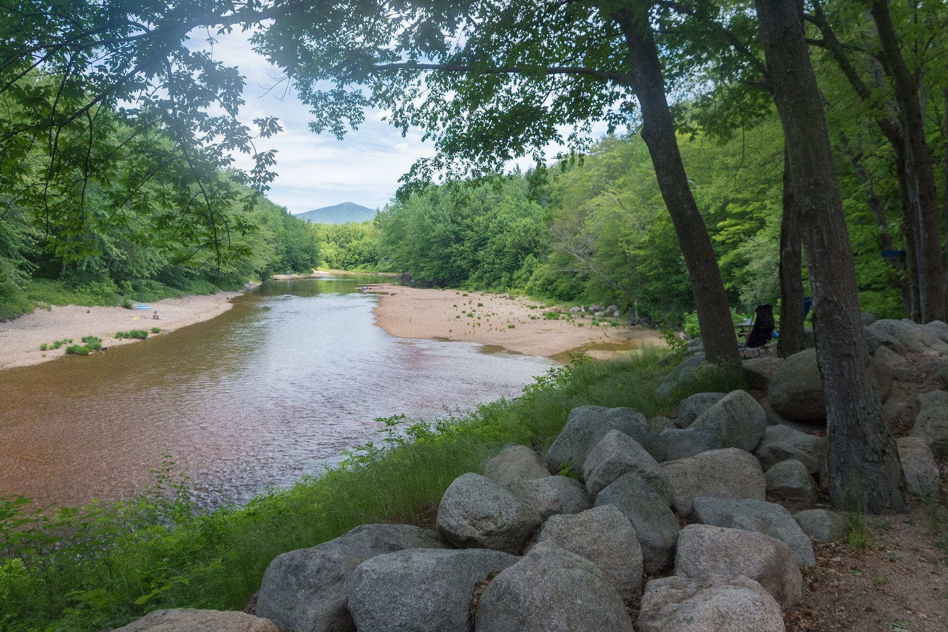 River flowing through a forest with rocky banks and a cloudy sky in the background.