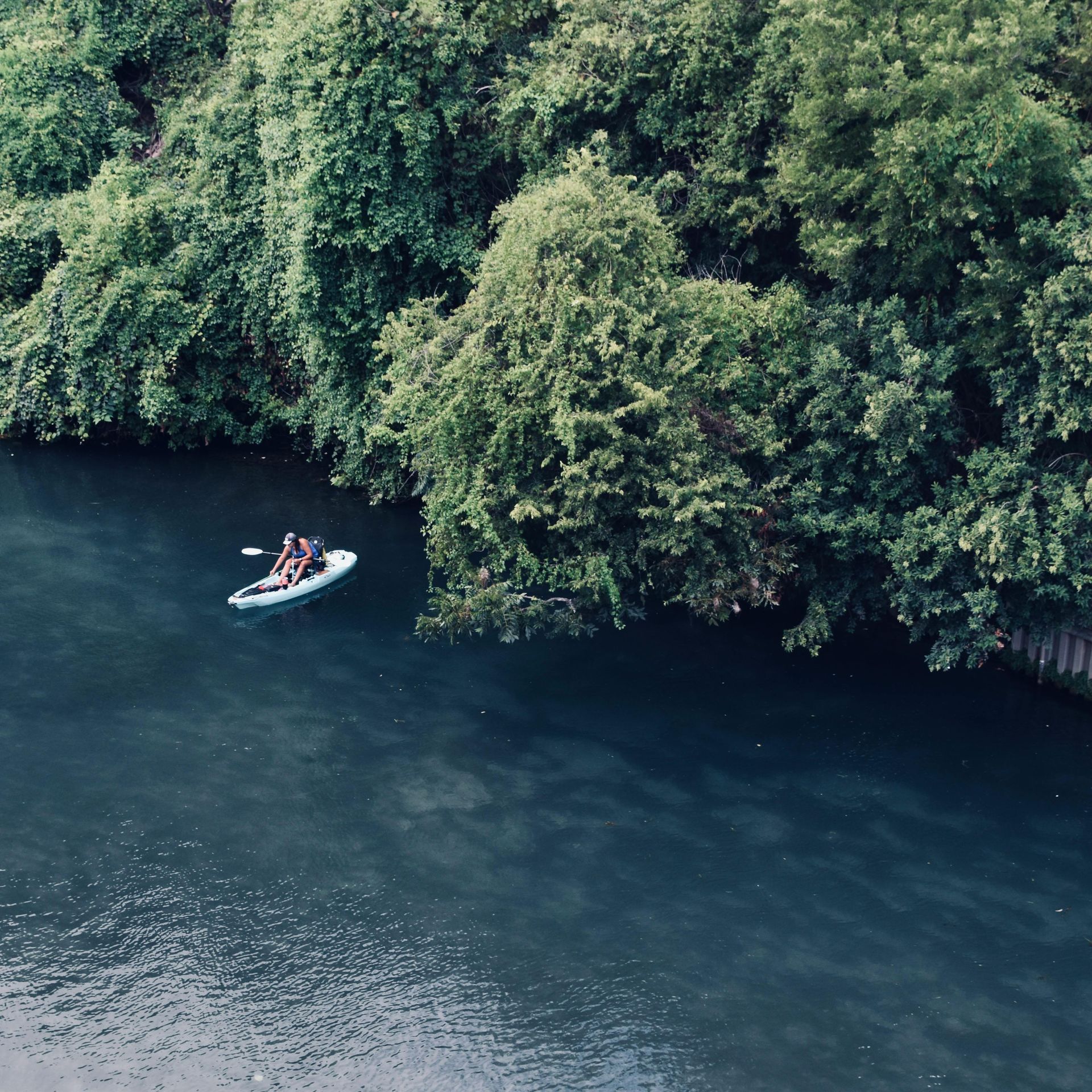 a person on a kayak in a river around trees