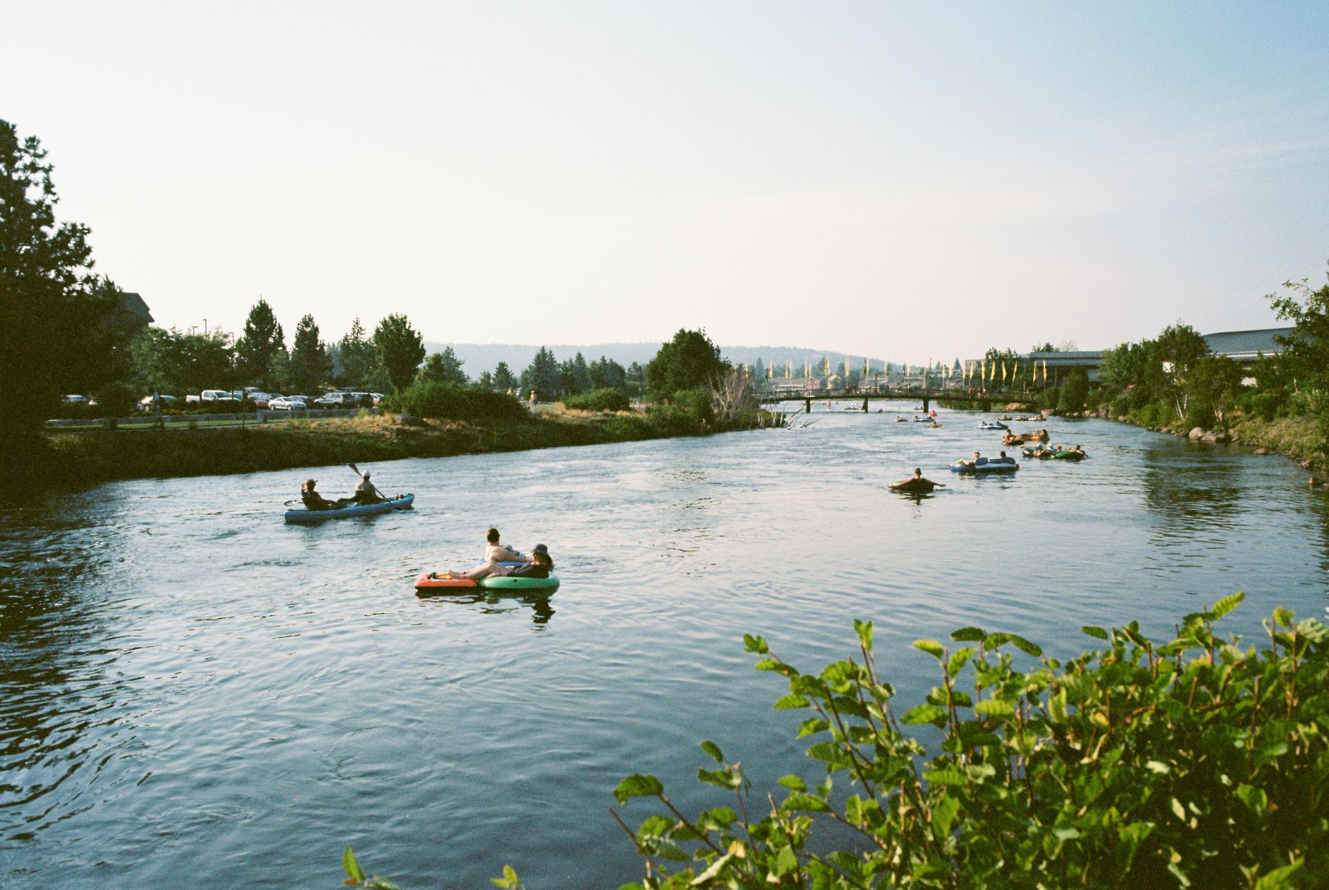 A calm river with threes and grass
