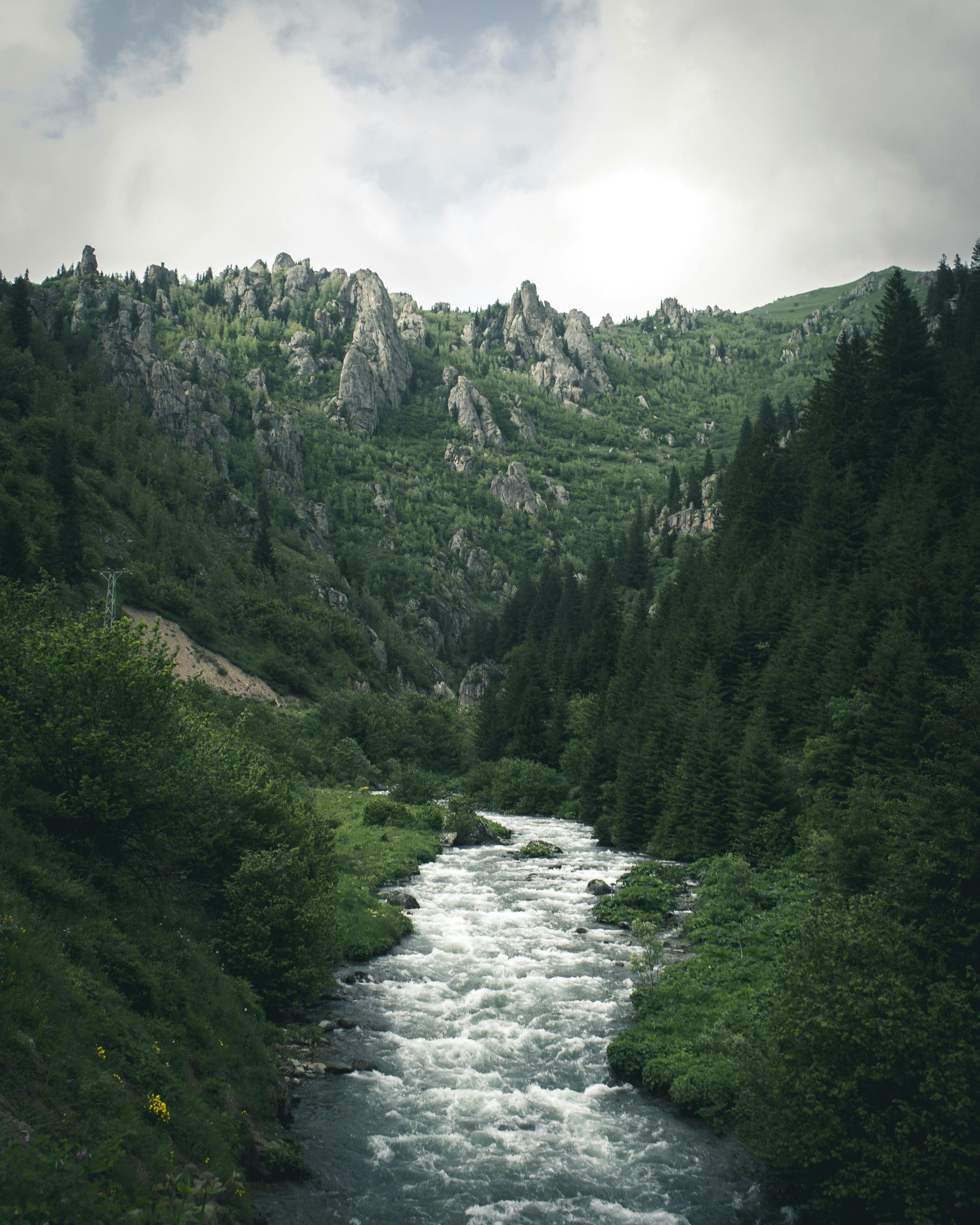 a beautiful river with trees in the distance