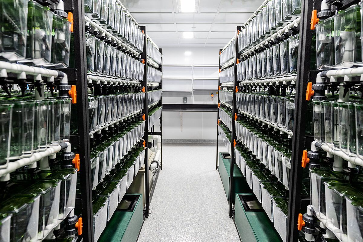 A warehouse filled with lots of glass containers and pipes.