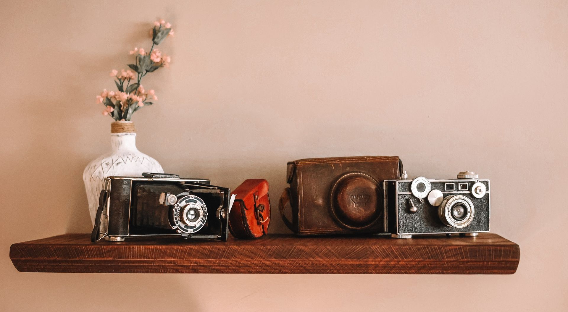 Shelf with antique cameras and a vase of flowers against a blush wall.