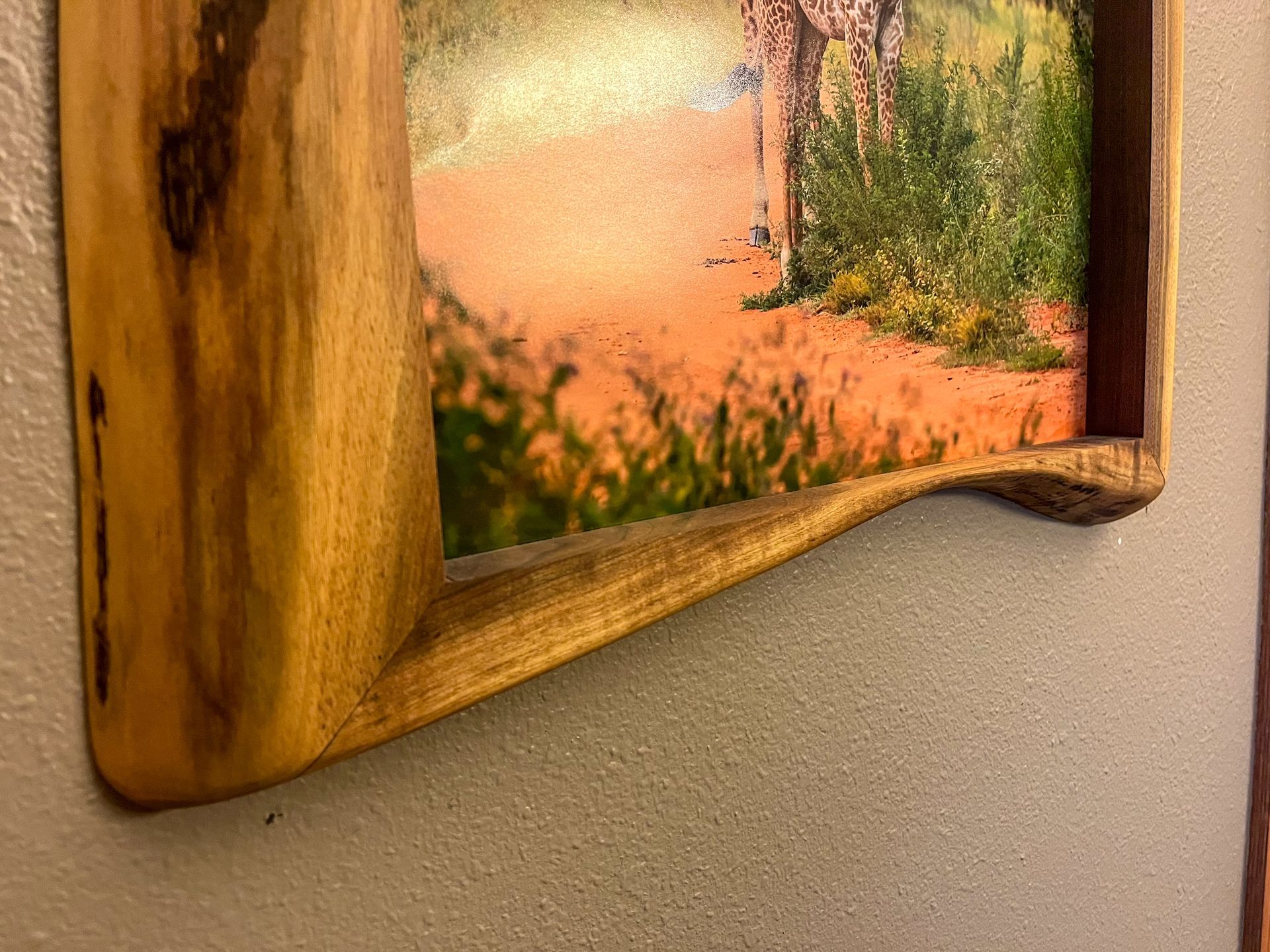 Wooden picture frame on a textured gray wall, displaying a photo of a dirt path and green plants.
