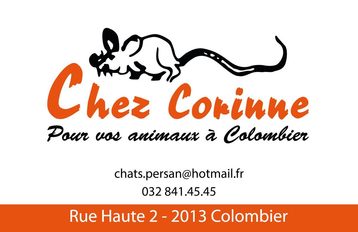 Logo Chez Corinne