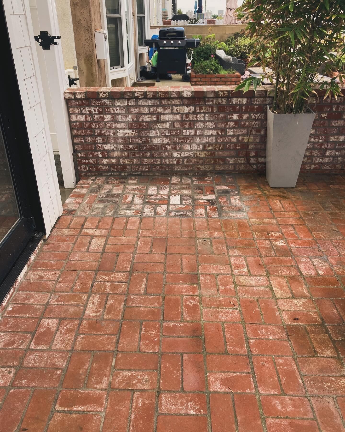 A brick patio with a brick wall and a potted plant.