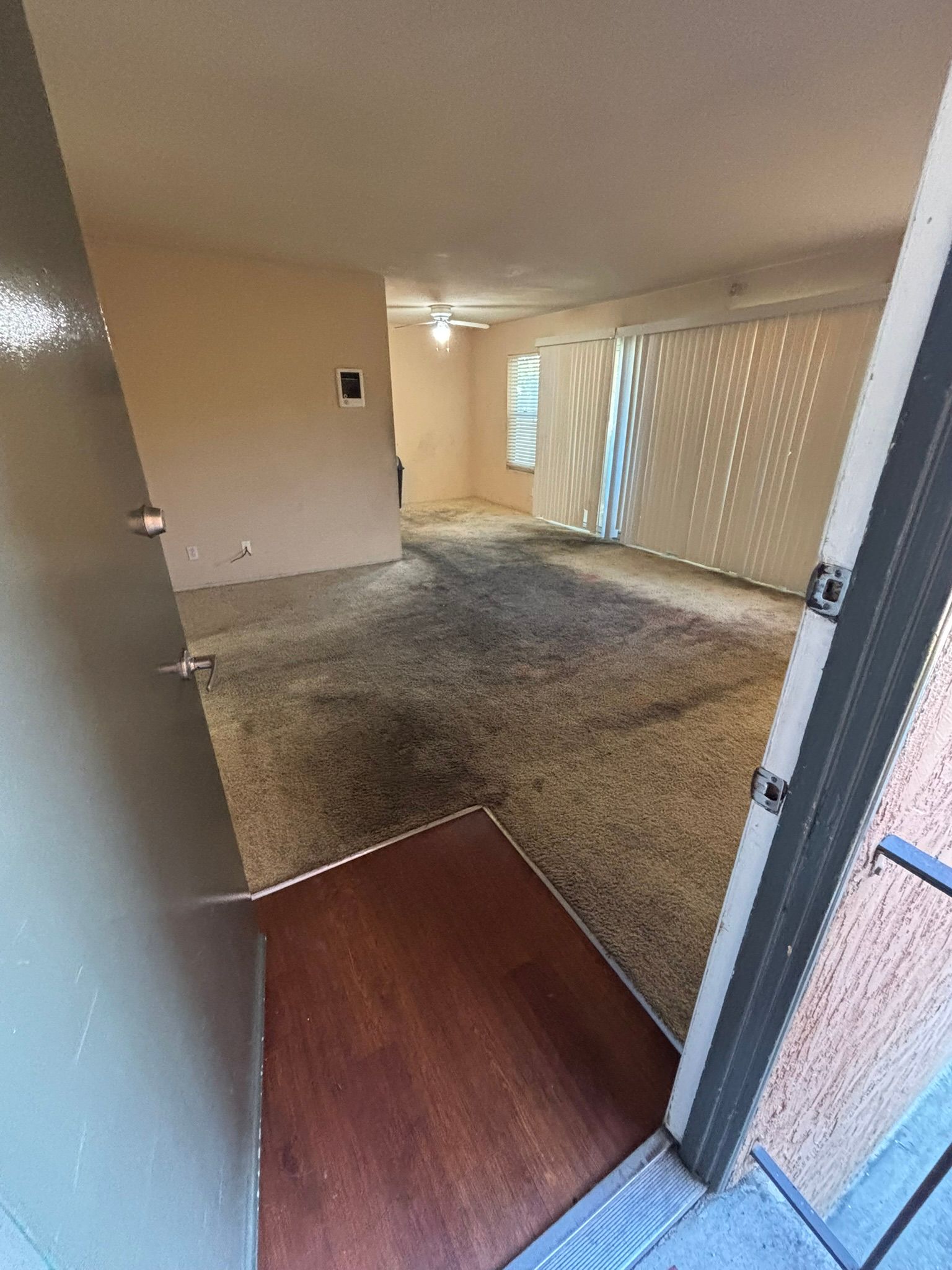 A living room with a carpeted floor and a ceiling fan.