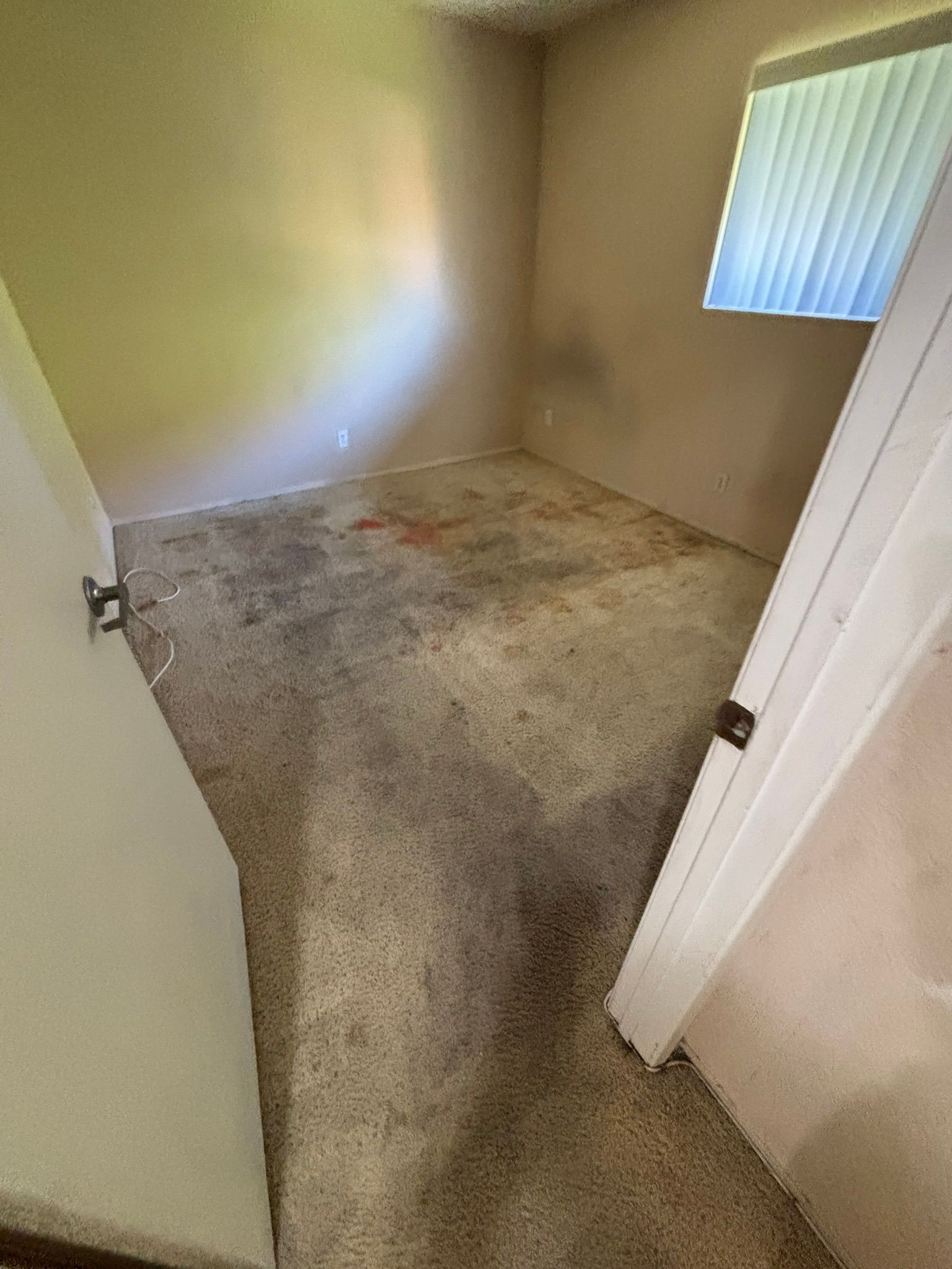 A room with a dirty carpet and a door leading to a window.