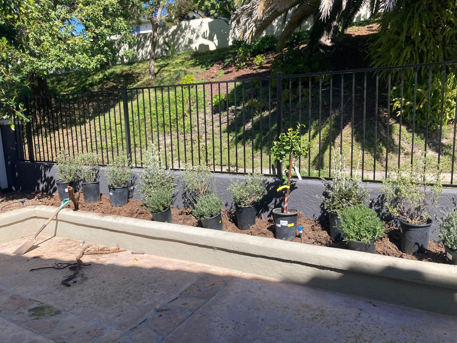 Row of potted plants on a concrete ledge next to a black fence and hillside.