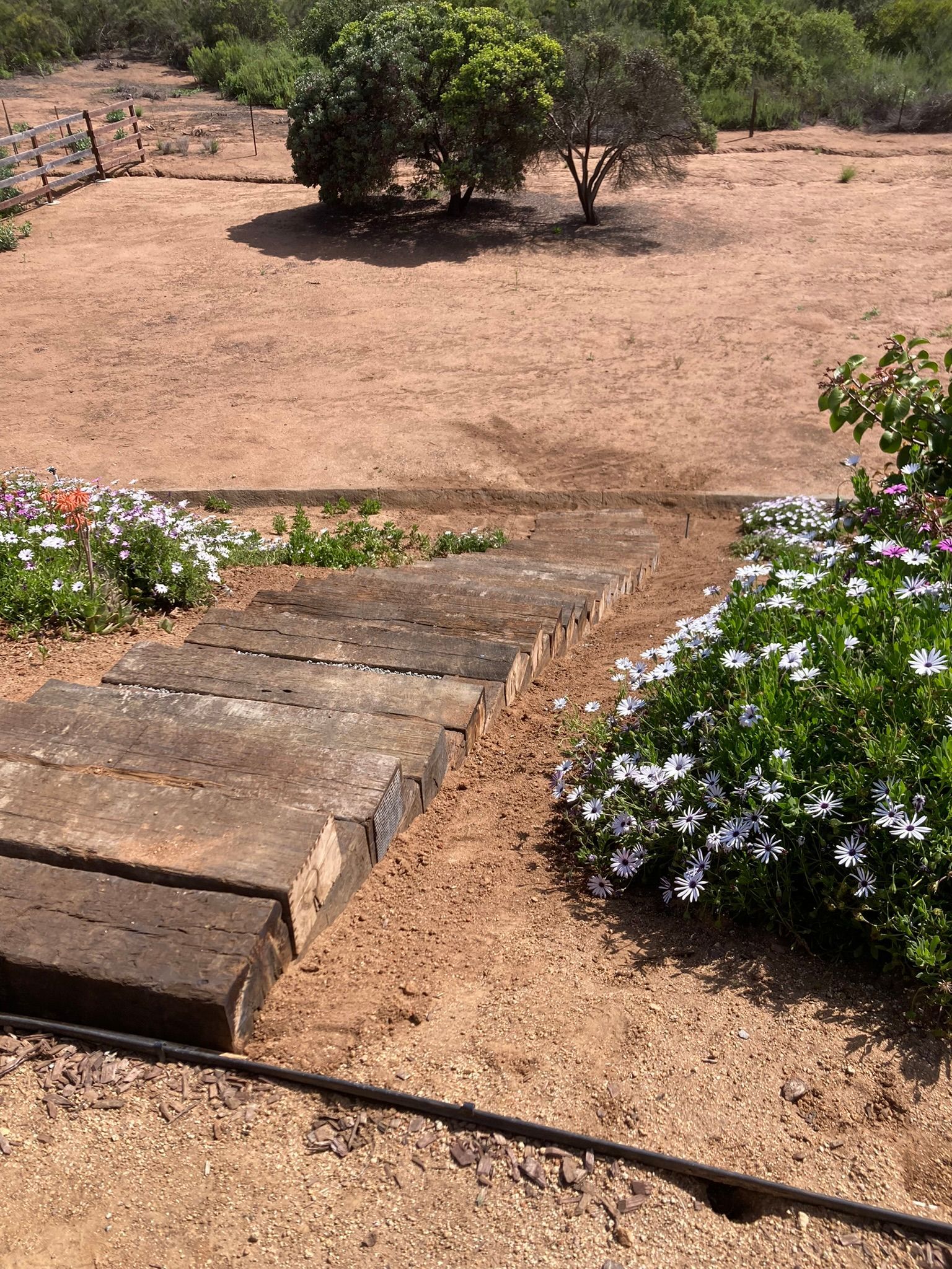 A stone walkway leading to a dry field with flowers and trees.