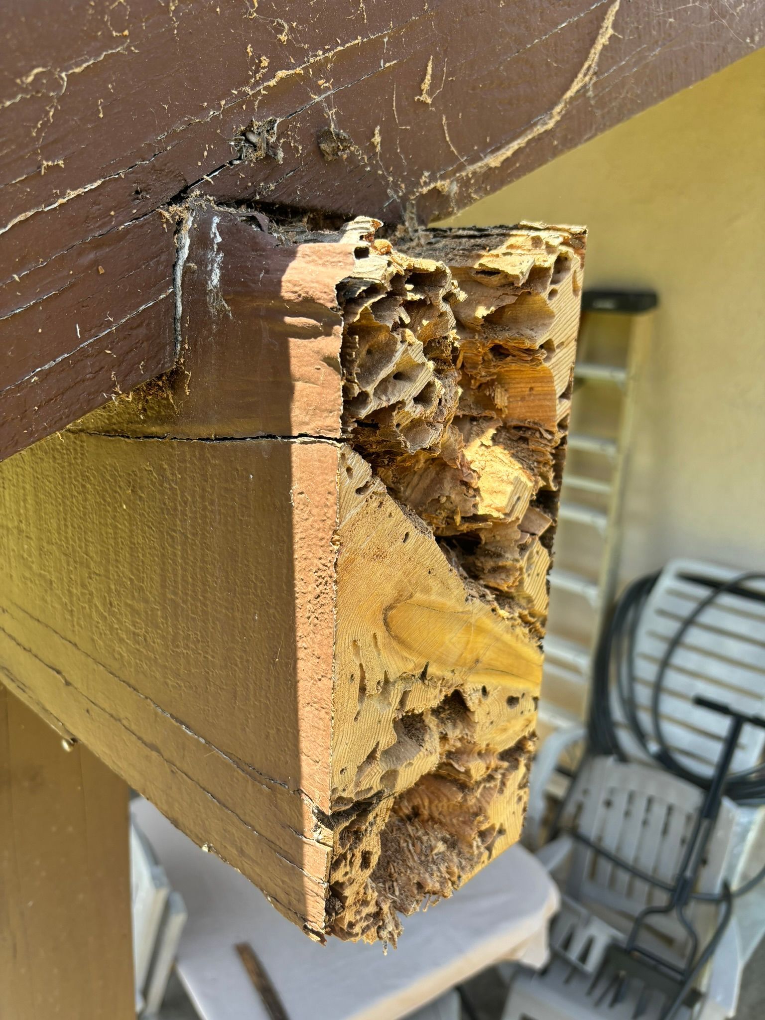 A piece of wood that has been eaten by termites.