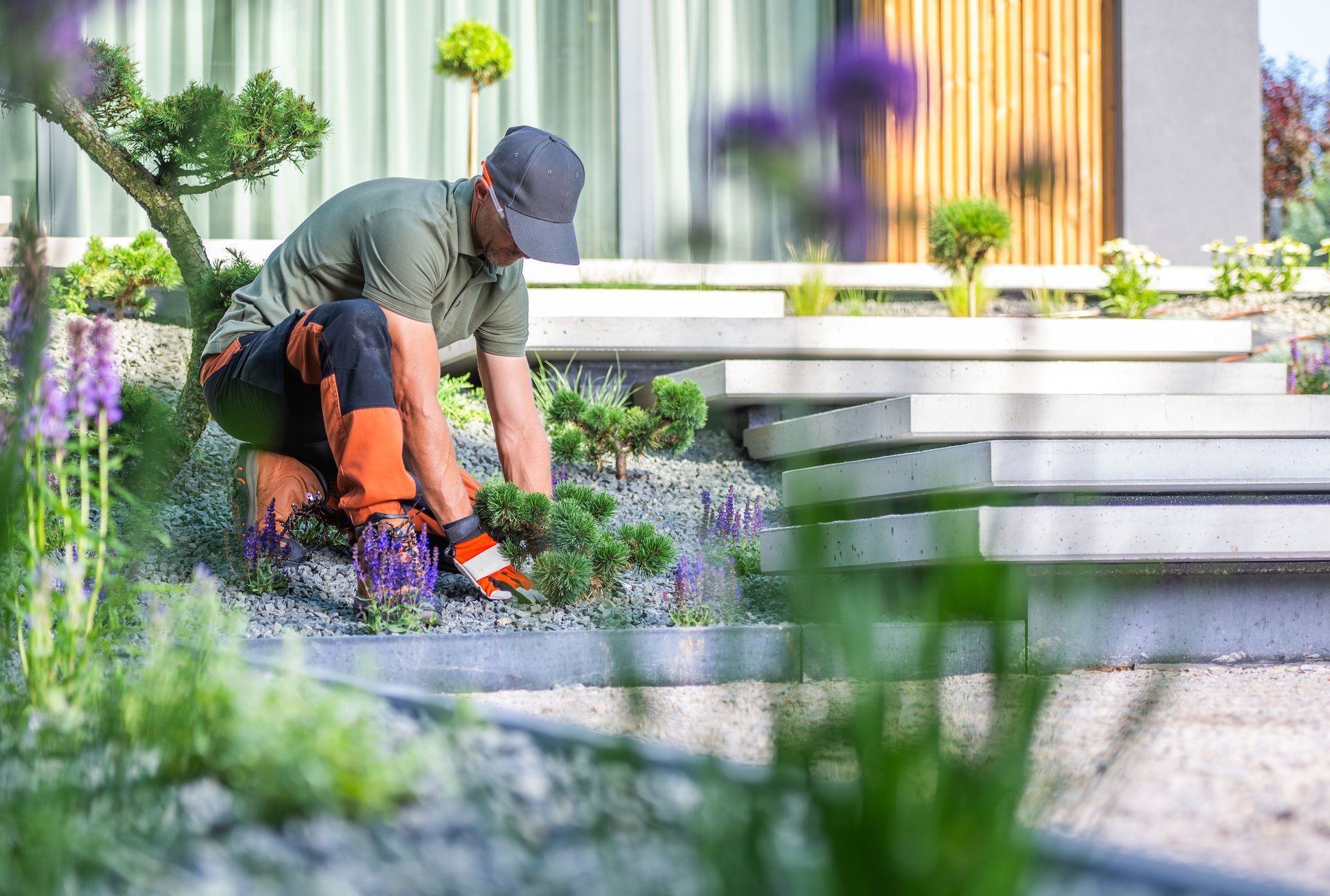 A man is kneeling down in a garden cutting plants.