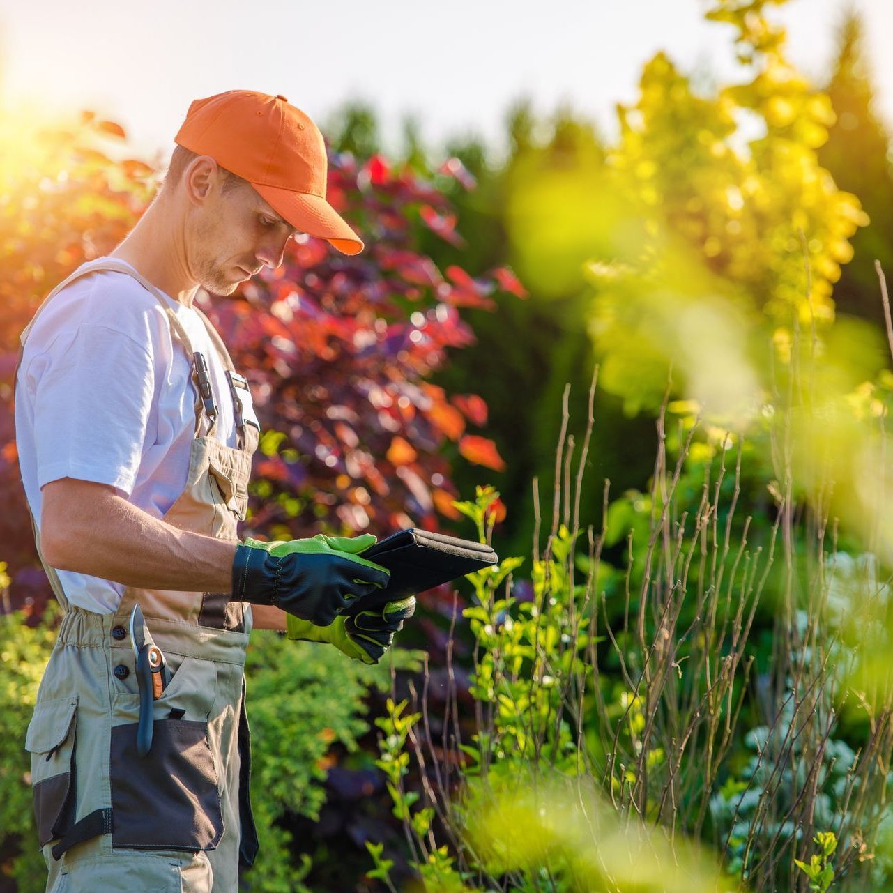 A man is standing in a garden looking at a tablet.