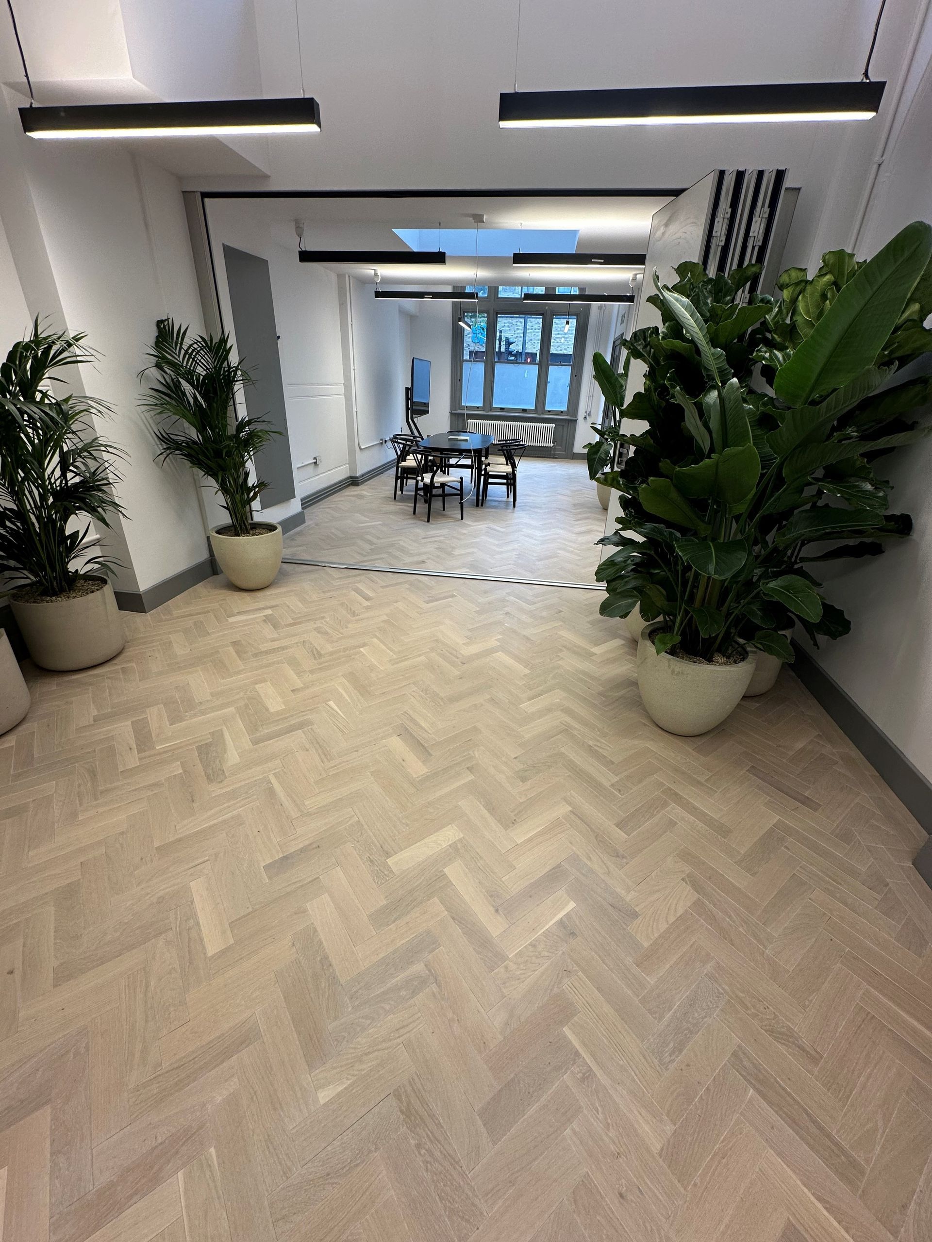 Amodern room with a light wood parquet floor, white walls , large house plants and modern strip lights on the ceiling.