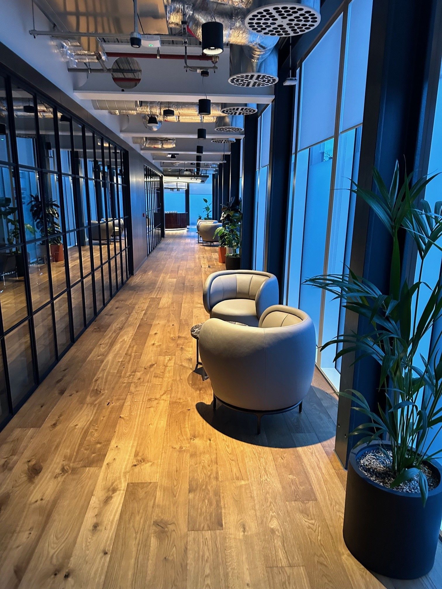 A long hallway with chairs and plants in a building.