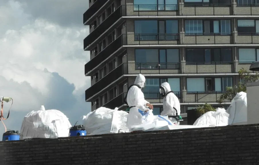 Team Removing & Bagging Asbestos on a Roof — Brucic Construction in Queanbeyan, NSW