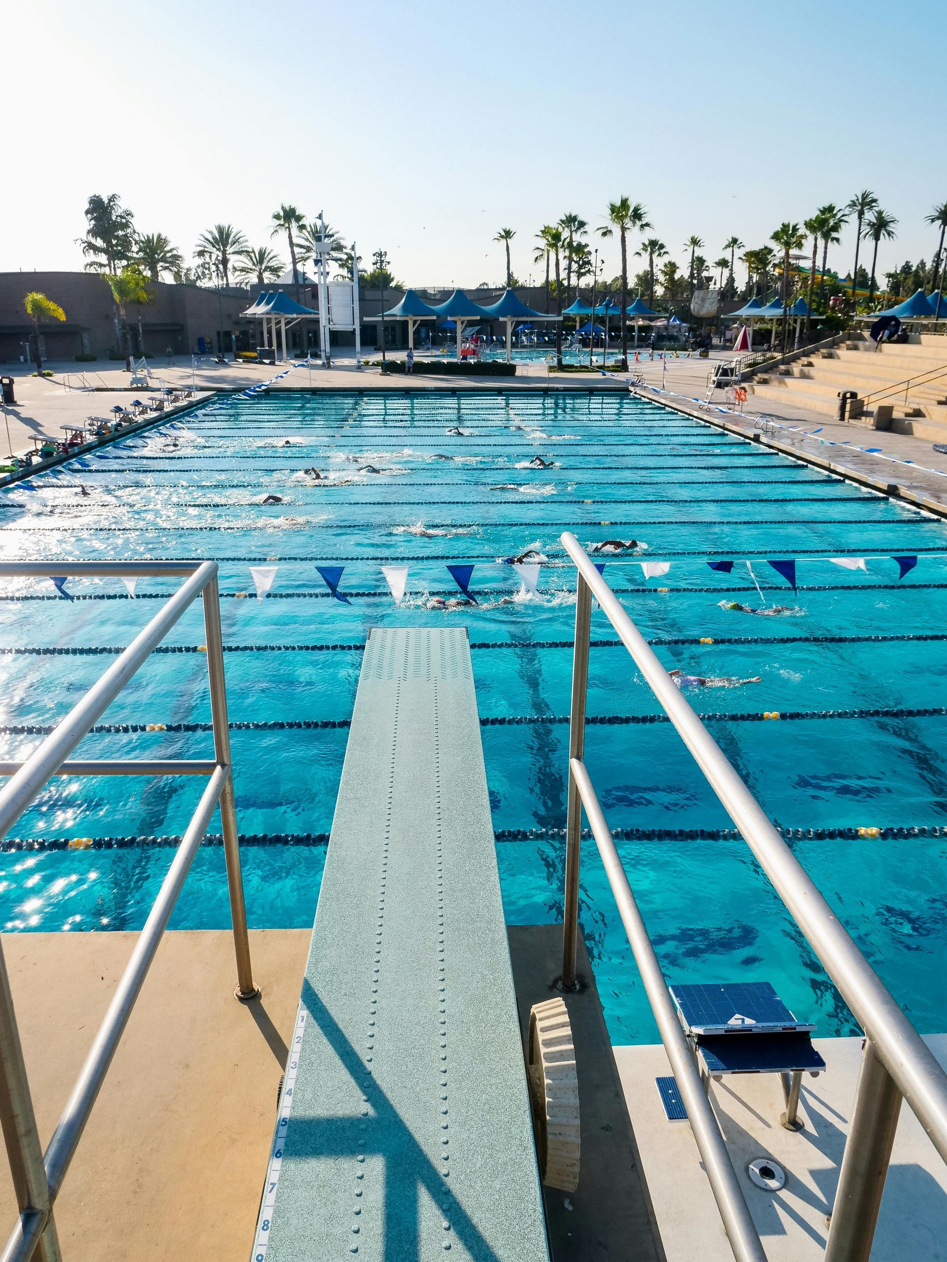 A swimming pool with a diving board in the foreground
