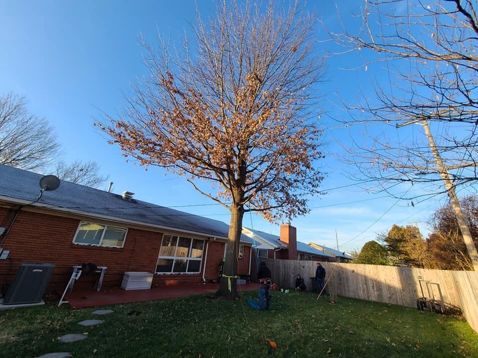 Backyard with a leafless tree, red brick house, wooden fence, and blue sky.