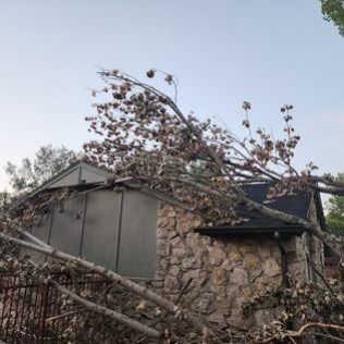 Tree branch fallen on stone house roof.