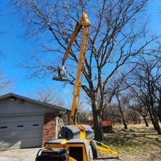A yellow tree trimming lift with a worker in the bucket is near a home and tree.