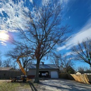 Tree being trimmed by a yellow lift. Garage and blue sky with clouds in the background.