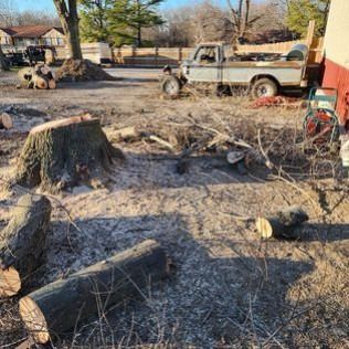 Stump and logs on a dirt lot with a truck, red building, and trees in the background.