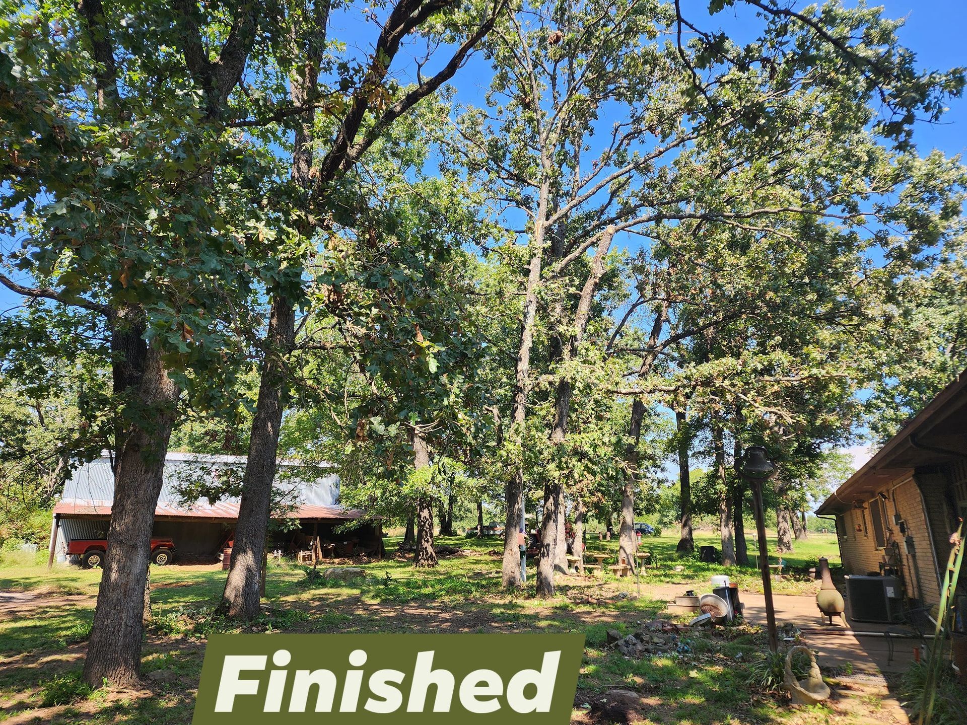 Trees in a yard with a barn visible in the background, text 