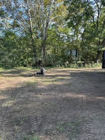 Person kneeling on a dirt area, trees in the background. Sunny day.