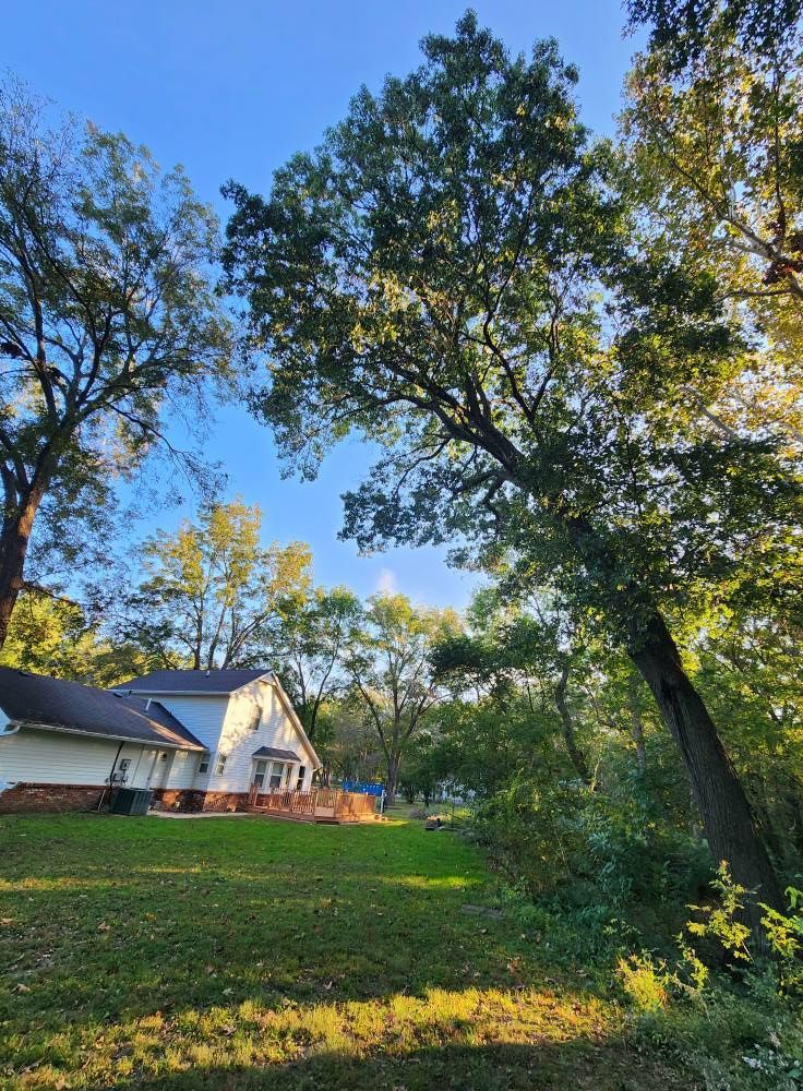 A house with a green lawn, surrounded by trees under a blue sky.