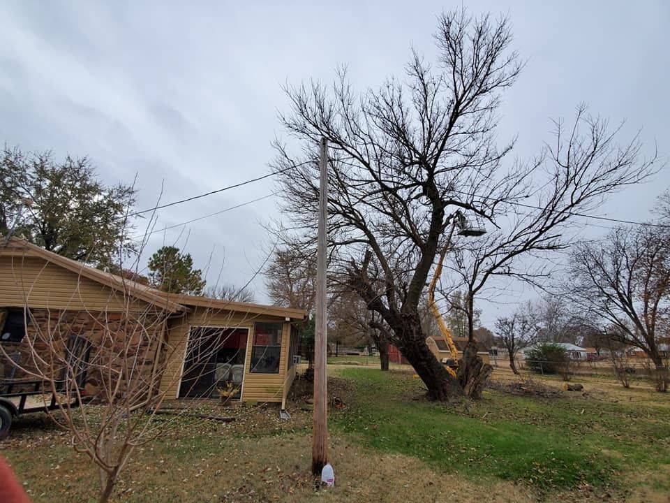 Yellow house with power lines, bare tree, overcast sky, and grassy yard.