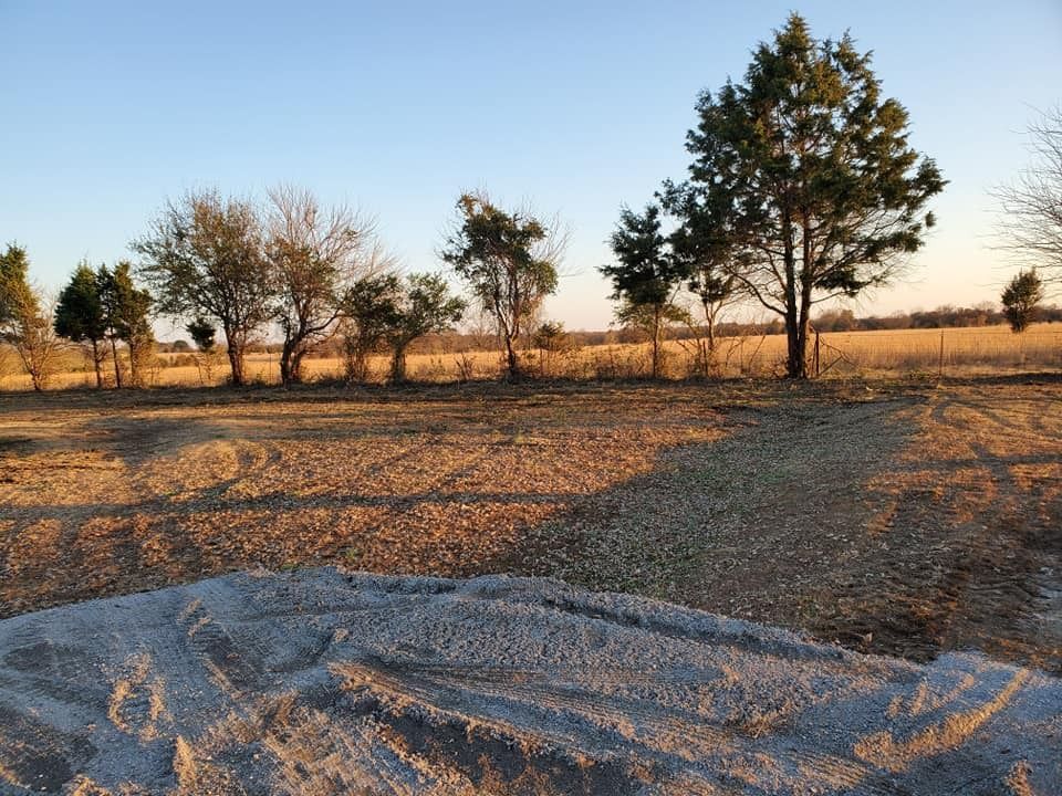 A row of trees along a field under a clear sky. A pile of gravel in the foreground.