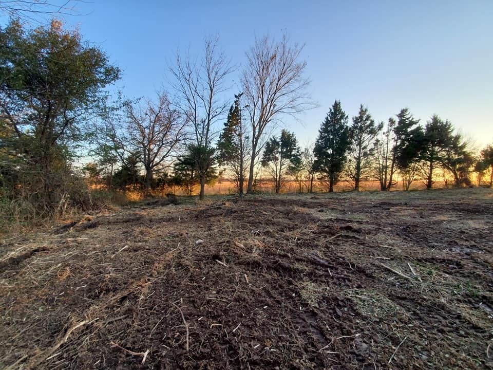 Clearcut field with bare trees and evergreens at dusk; blue and orange sky in the background.