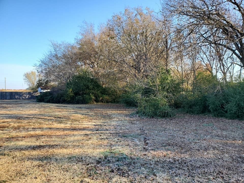 Field of dry grass with trees and bushes under a clear blue sky.
