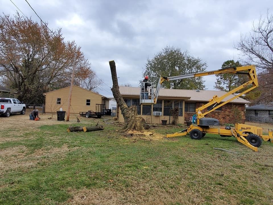 A person in a lift cuts a tree near a house. Yellow lift, cut tree trunk, and green lawn.
