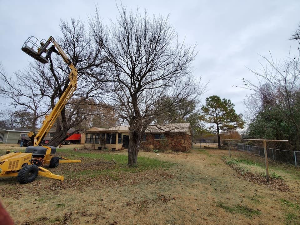 Yellow lift trimming a tree near a small house on a cloudy day.