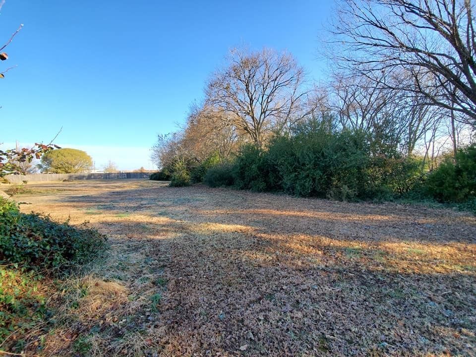 Open field covered in dry leaves, bordered by green bushes and bare trees, under a blue sky.