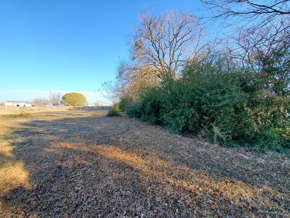 An open field with scattered leaves, bordered by trees and shrubs, under a blue sky.