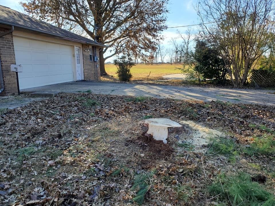 A residential yard with fallen leaves and a white utility box. A garage is in the background.