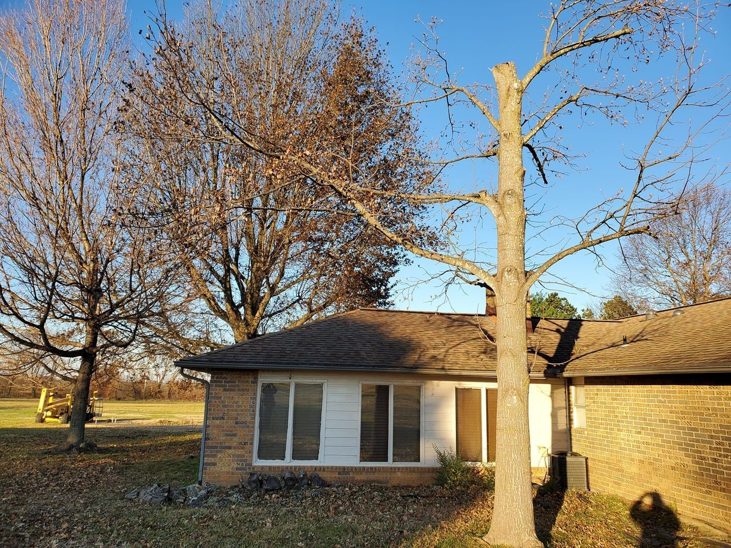 House with bare trees and a clear blue sky; some sunlight.